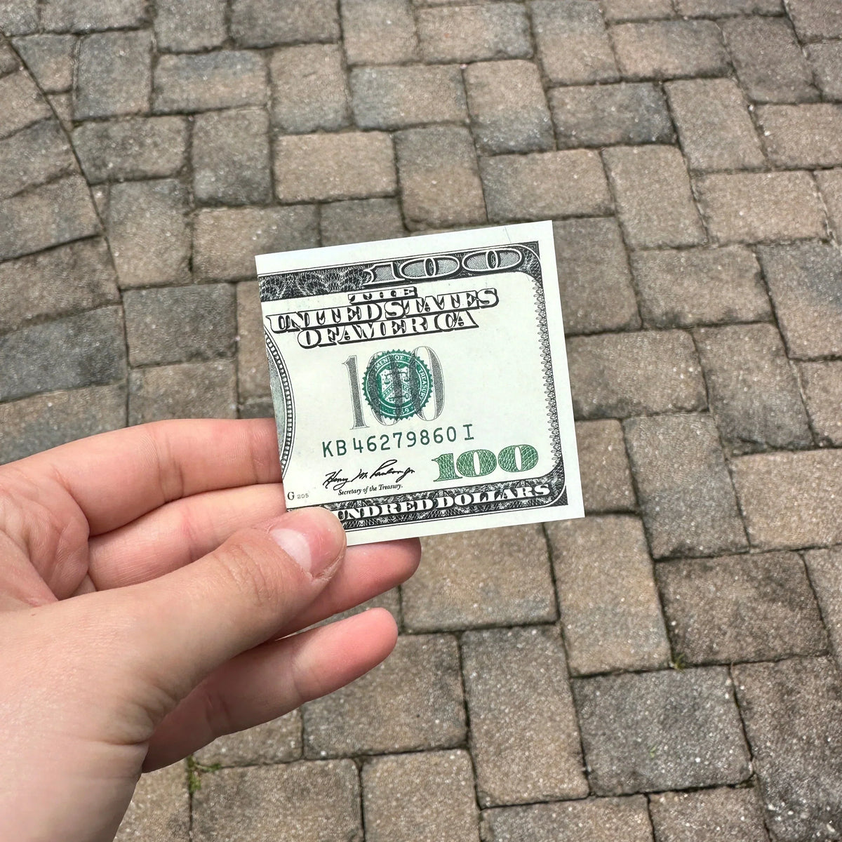 10x Trump 2024 Prank $100 Bills